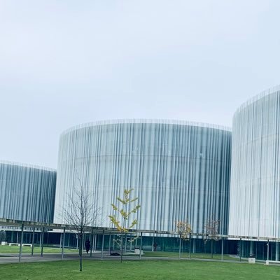 LeonKinzy's profile picture. Rechtsreferendar | Trainee Lawyer