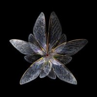 📎 (@iithosphere) 's Twitter Profile Photo