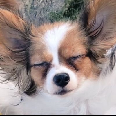 binary1995's profile picture. 