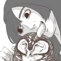 合法ふく (@legalowlcig) 's Twitter Profile Photo