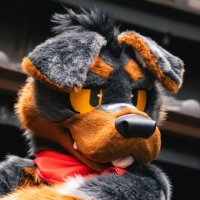 LOBO🐾 (@lobo_rottie) Twitter profile photo