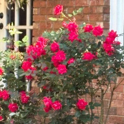 RealIssues1128's profile picture. 