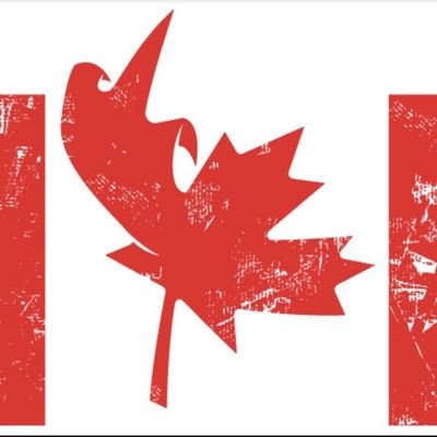 gord_paul's profile picture. If you've come far enough to see if I have pronouns in my bio, you can go far enough to read some factual information. He/him.