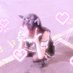 ゆじにゃ (@jinny4065) Twitter profile photo ゆじにゃ (@jinny4065) Twitter profile photo