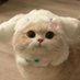woowoo (@everiwhichwei) Twitter profile photo woowoo (@everiwhichwei) Twitter profile photo