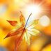 Rosetta Zemlak (@rzemlak43846) Twitter profile photo Rosetta Zemlak (@rzemlak43846) Twitter profile photo