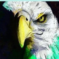 Syed Sajjad Ali☝🏻🇵🇸🇵🇰🔻🔻💪🏻 (@syed_sajjad90) 's Twitter Profile