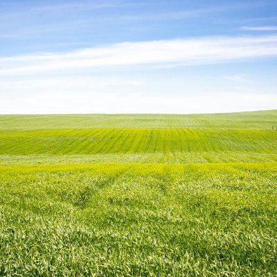 elephus20s's profile picture. Graphics Designer | Animator | storyteller