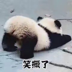 bigbigbitcoin's profile picture. if you love,you well rich!