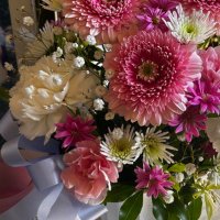 SARA_M707 (@m707sara) 's Twitter Profile