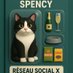 Spency et les chats de l'au-delà 🐾🖥️🍾🥂🇨🇭🇫🇷 (@spencyau) Twitter profile photo Spency et les chats de l'au-delà 🐾🖥️🍾🥂🇨🇭🇫🇷 (@spencyau) Twitter profile photo