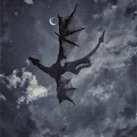 metacolonial (@metacolonial) 's Twitter Profile