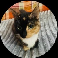 @montycat16 (@montycat16) 's Twitter Profile Photo @montycat16 (@montycat16) 's Twitter Profile Photo