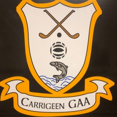 ⛩Carrigeen GAA founded in 1954 ,Asper Park⛩ (Irish) Carraigín (meaning) Little Rock ,Hurling Club in South Kilkenny ,70th year in existence , postcode x91 hk7p