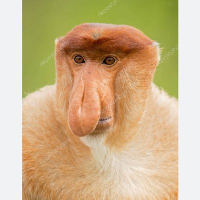 mlh_yuksel's profile picture. 