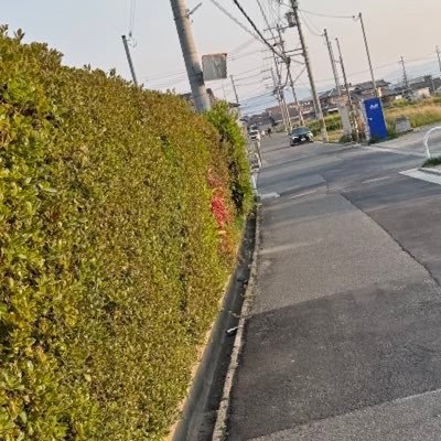 デミグラス筑前煮さんのプロフィール画像