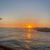 💋Buse 💋 (@elzbuse) Twitter profile photo