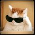 Prabal Bora (@mrmack00128) Twitter profile photo Prabal Bora (@mrmack00128) Twitter profile photo