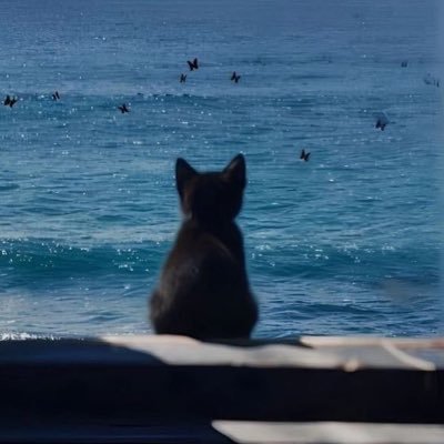 fayerfyou01's profile picture. loml #FayePeraya 🌻