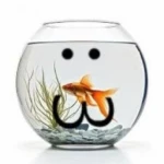 qstukk's profile picture. 