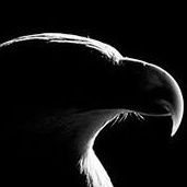 . (@01delgado1903) 's Twitter Profile Photo . (@01delgado1903) 's Twitter Profile Photo