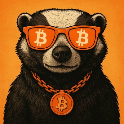 K19Megan's profile picture. Living on the ₿lockchain, stacking sats daily.
BTCFi = Future
