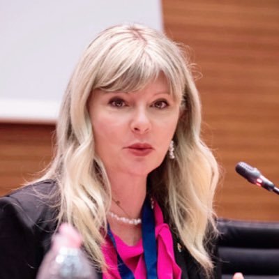 Professor of #InternationalRelations, School of Advanced Defence Studies #CASD @OSCE_Academy & @GGovernanceBA Chair of @ecpr, member of @CA_GLITSS