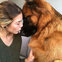 Cindy Ronald (@cindyknot) 's Twitter Profile