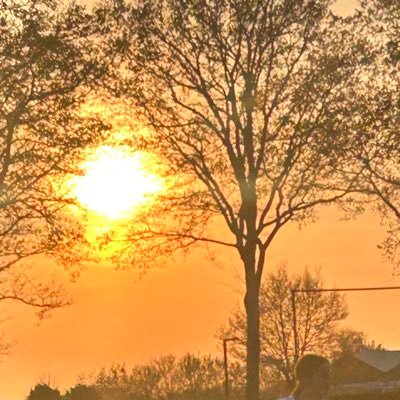 ingebbnlbe's profile picture. 