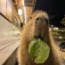 Capy (@capybaraytz) Twitter profile photo Capy (@capybaraytz) Twitter profile photo