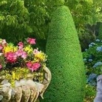 احلام 💐 (@lm0478044557178) 's Twitter Profile