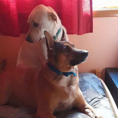 GElingold's profile picture. Argentina. NO al terrorismo. Am Israel Jai.
Profesora de Ingles.