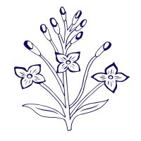 Lady (@ladylinens) 's Twitter Profile