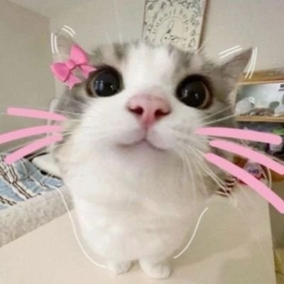 CherrryBIosssom's profile picture. 🍉🌸cherry if you please :)🌸 She/her  🌸 proshippers and zoo's DNI 🌸 in multiple fandom 🌸 18 🌸 Beginner Artist & writer 🌸🍉