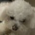 qDxniel-_ (@qdxniel16) Twitter profile photo qDxniel-_ (@qdxniel16) Twitter profile photo