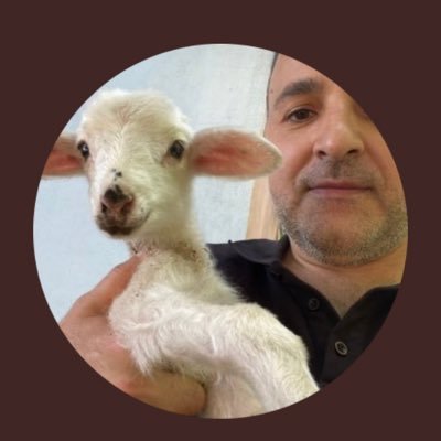 (((Aynı yolu beraber yürüdüğümüzü sandığımız insanlar, aslında bize sadece gidecekleri yere kadar eşlik ediyor.)))Finans borsa Diziler Televizyon Gündem