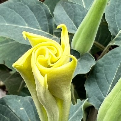 LaurieOReilly's profile picture. Content creator and curator. Opinions are my own.