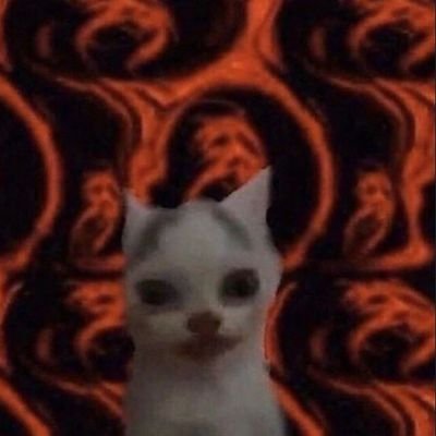 Pisulaaaa's profile picture. 