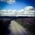 𝓢𝔱ᖇ𝐞ⓔţ🛤️𝐓𝓻.ⓔᶜ𝓀🕊️ (@streettreck) Twitter profile photo 𝓢𝔱ᖇ𝐞ⓔţ🛤️𝐓𝓻.ⓔᶜ𝓀🕊️ (@streettreck) Twitter profile photo