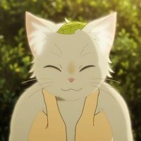 🌱 Cher ˚ (@2chwncherry4) 's Twitter Profile Photo