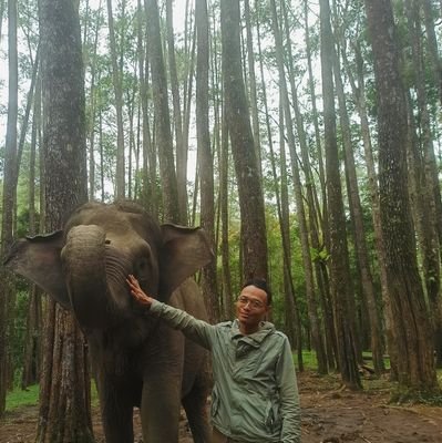 0386Ricky's profile picture. Jalla jalalah