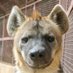 KingYeen (@kingyeen139982) Twitter profile photo KingYeen (@kingyeen139982) Twitter profile photo