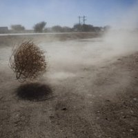 El Mike (@mikehusnsf13583) 's Twitter Profile