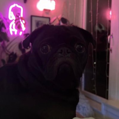 ArianaJay946182's profile picture. just dm for fun 🤩