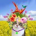 Skittles & Friends Purrs4Peace, ☮️🇨🇦🇺🇦 (@skittlesfriends) Twitter profile photo Skittles & Friends Purrs4Peace, ☮️🇨🇦🇺🇦 (@skittlesfriends) Twitter profile photo