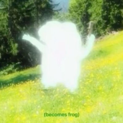 Seboides's profile picture. 