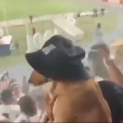 Medicina e também faço parte do bloco d’Os Abobados do Twitter. eu preciso de um inferno para me incomodar. Inter🔴⚪️