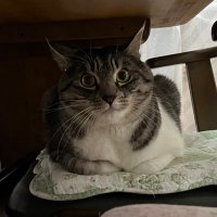 ぽらい@座学用 (@i7qnh7beya6634) Twitter profile photo