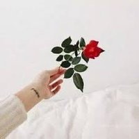 . (@m_e_alharbii) 's Twitter Profile Photo . (@m_e_alharbii) 's Twitter Profile Photo