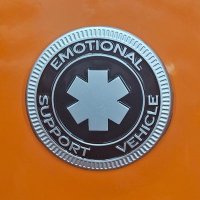 Mathew Tuttelman (@mtuttelman) 's Twitter Profile
